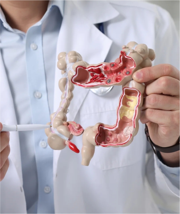 Gastroenterology