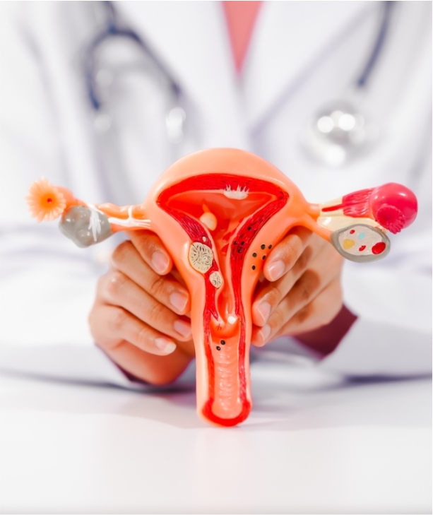 Reproductive Medicine